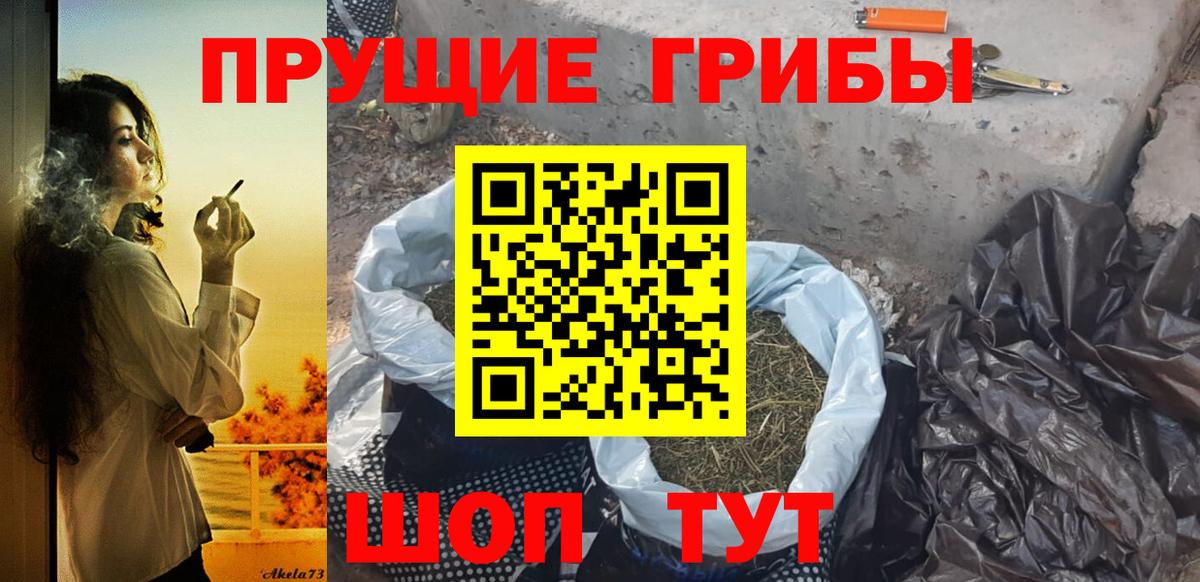 Серов  Псилоцибиновые грибы мухоморы  Вход с VPN 